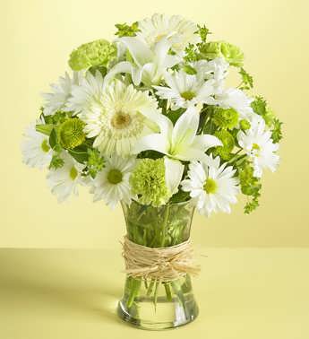 FlowersToAll.com's Serene Green FlowersToAll.com's Serene Green