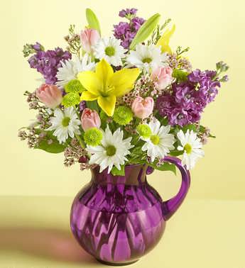 Our Fields of Europe for Spring in a Pitcher Our Fields of Europe for Spring in a Pitcher